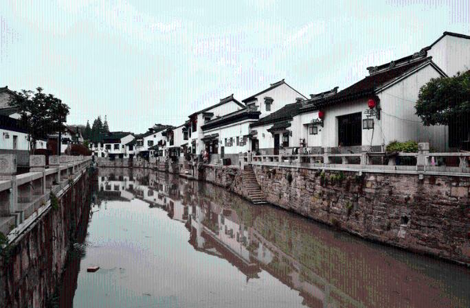 上海市人大代表陆方舟:如果你有梦想有活力,不妨“家”定新城